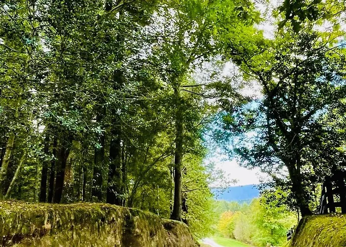 شقة En Comillas-garden In *