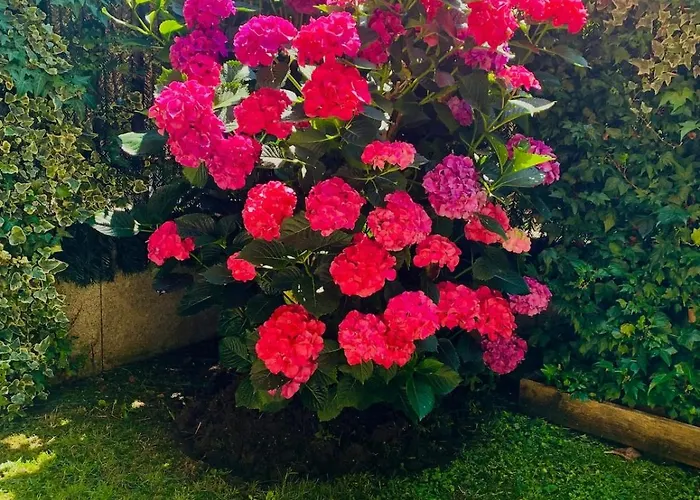 En Comillas-garden In * كوميلاس