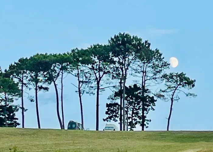 En Comillas-garden In