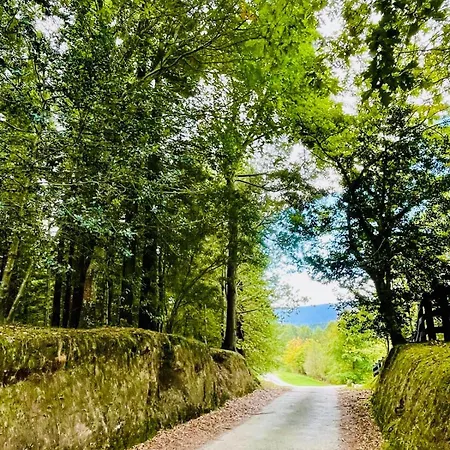 Apartman En Comillas-garden In *