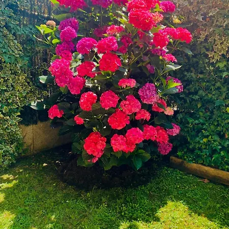 En Comillas-garden In * Comillas