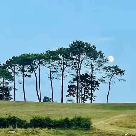 En Comillas-garden In